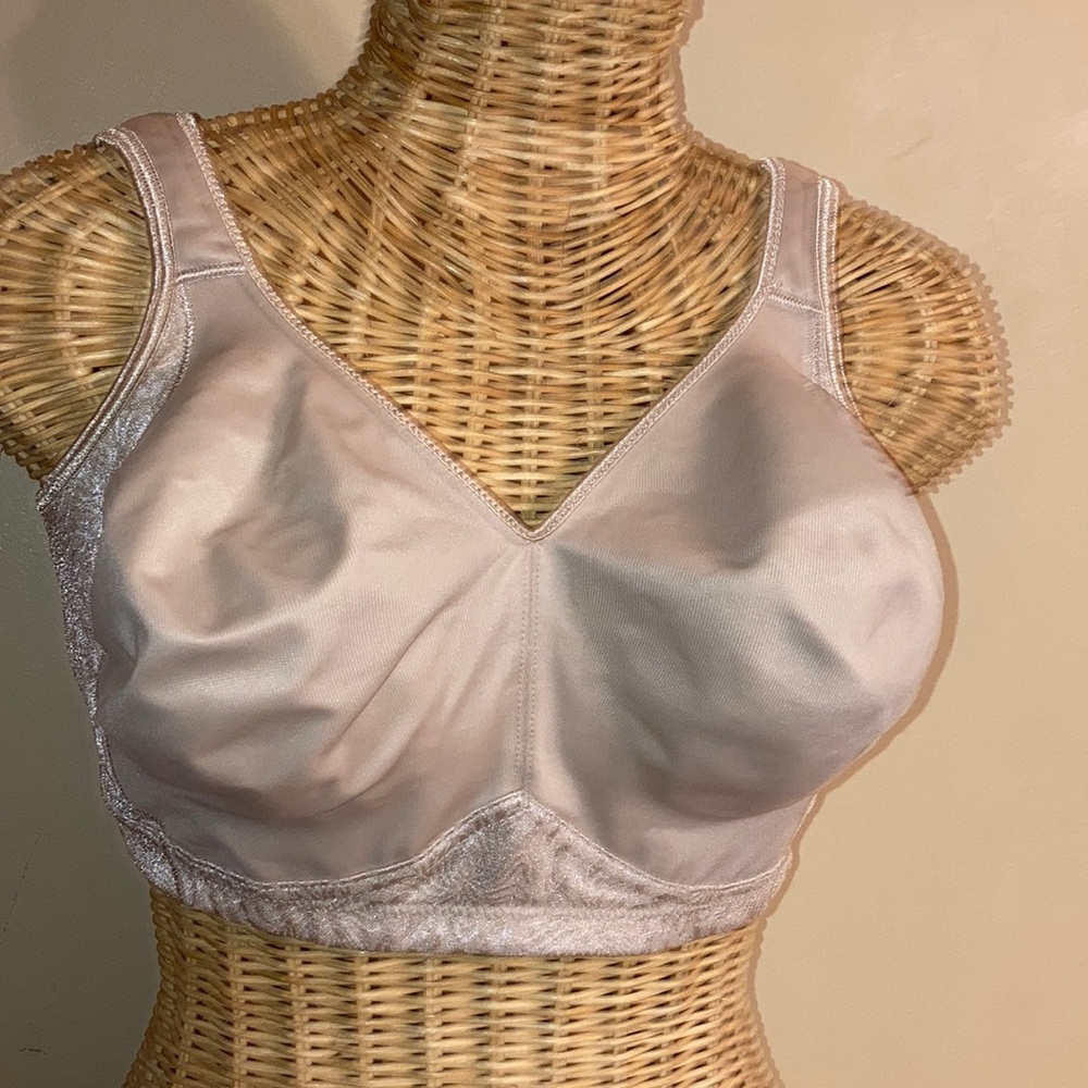 Playtex bra 38DDD
